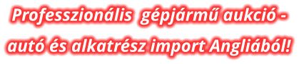 Professzionlis  gpjrm aukci - aut s alkatrsz import Anglibl!